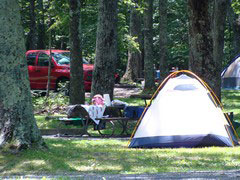 Lewis Mountain Campground