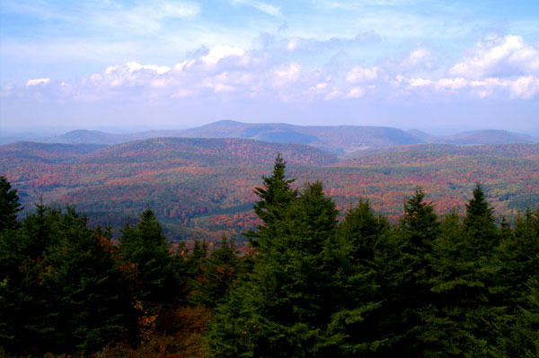view from spruce knob wv